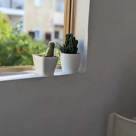 Quiet Twin With Private Bathroom, Not Ensuite Vendégház *