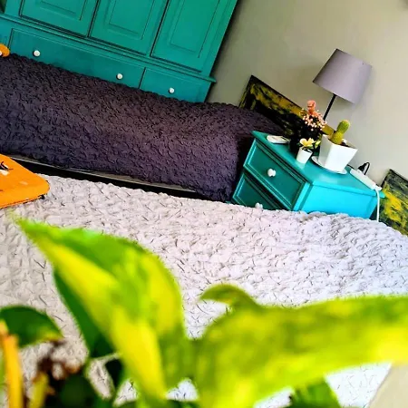 Quiet Twin With Private Bathroom, Not Ensuite
